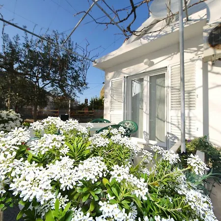Antonio Apartment